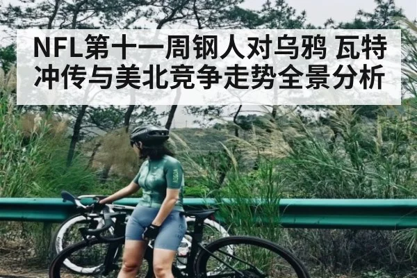 NFL第十一周钢人对乌鸦 瓦特冲传与美北竞争走势全景分析